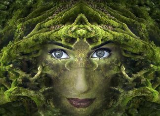 Protection de la Terre !