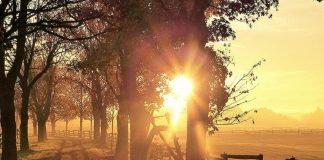 L’automne 2019 s’annonce un changement de paradigme majeur pour vous