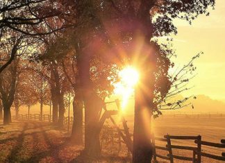 L’automne 2019 s’annonce un changement de paradigme majeur pour vous