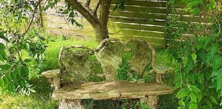 Apprendre de nouveaux modèles de relations pour la Nouvelle Terre