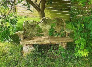 Apprendre de nouveaux modèles de relations pour la Nouvelle Terre