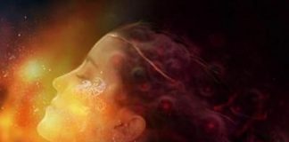 Le Créateur – Temps de Permettre