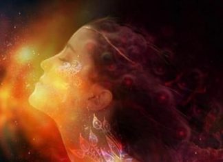 Le Créateur – Temps de Permettre