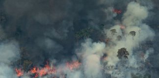 Message aux Travailleurs de Lumière – 23 août 2019