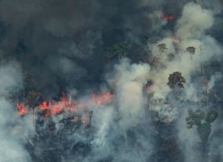 Message aux Travailleurs de Lumière – 23 août 2019