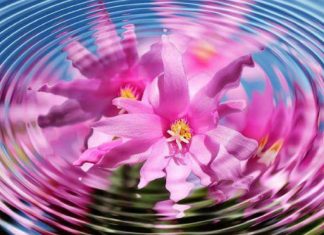 Ressentir Dieu, le Flux Amour et Vous sentir bien