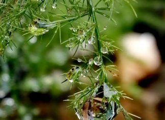 Guidance des Maîtres des lieux…