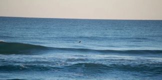 Message aux Artisans de Lumière – 8 juillet 2021