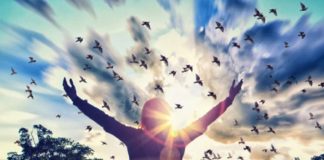 Le Créateur – Grandir et Apprendre