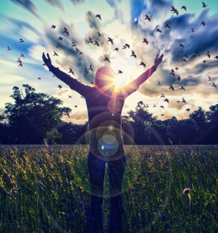 oiseaux- grandir- apprendre