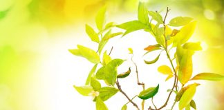 Soyez à l’aise et Ressentez la Grâce de Votre Vie