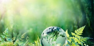 L’entrée en scène des membres de la troisième vague d’incarnation