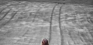 Le Créateur – Regardez En Avant