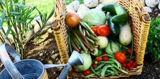 La Volonté Divine est à l’Oeuvre dans le Cosmos