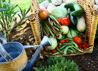 La Volonté Divine est à l’Oeuvre dans le Cosmos