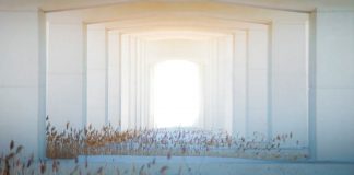 Nous vous invitons à embrasser ces énergies de transformation et de libération