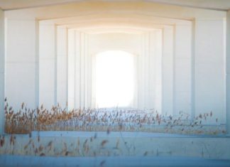 Nous vous invitons à embrasser ces énergies de transformation et de libération