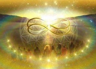 Le Groupe : Quatrième vague