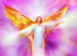 Vous êtes la même Lumière et le même Amour qui ont formé les Étoiles