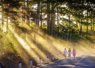 Un Nouveau Voyage Commence