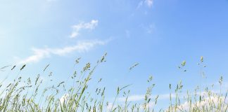 Le stress est une invitation à l’Amour