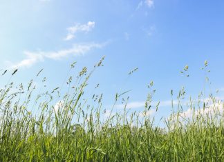 Le stress est une invitation à l’Amour