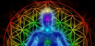 Nettoyage Éthérique de vos Glandes Endocrines