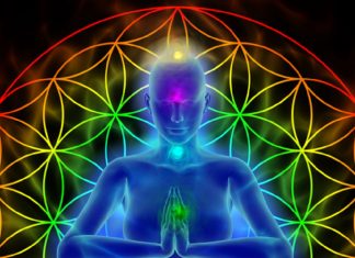 Nettoyage Éthérique de vos Glandes Endocrines