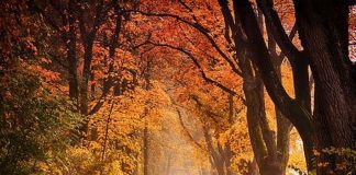 S’éloigner de la peur pour connaître le plaisir