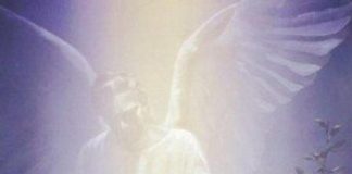 Sagesse des anges – Concentration