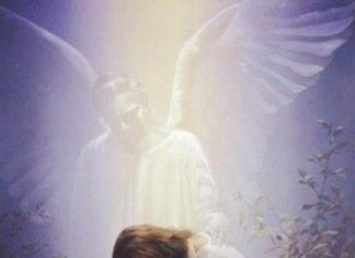 Sagesse des Anges – Balance