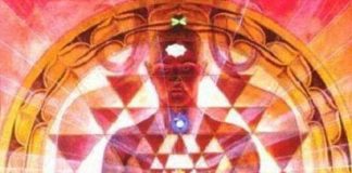 Sylah – Bienvenue dans votre Demeure !