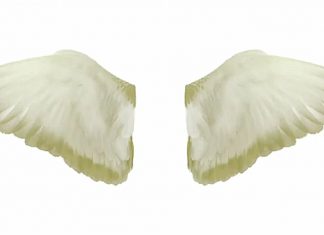 La vérité sur le plus grand mensonge perpétué envers l’humanité