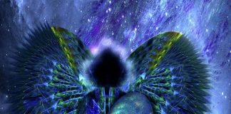 Éveil et Illumination : Octobre 2019 à janvier 2020