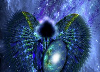 Éveil et Illumination : Octobre 2019 à janvier 2020