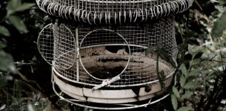 Enlevez vos mains et faites des demandes