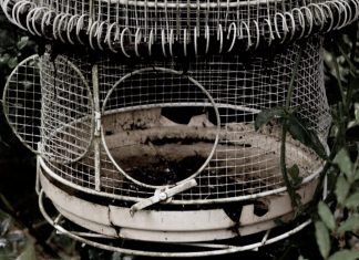 Enlevez vos mains et faites des demandes