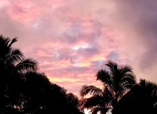 Lisa Brown: Un pur Amour inonde, jaillit et se déverse grâce aux portails stellaires et aux systèmes de grilles