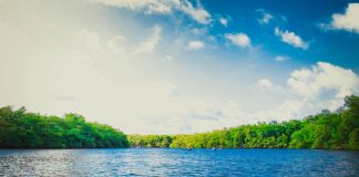 Depuis les eaux vives