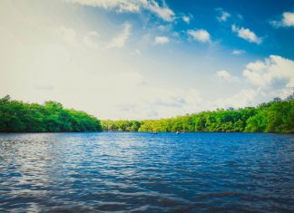 Depuis les eaux vives