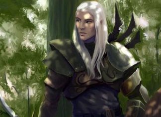 Message de l’elfe des bois