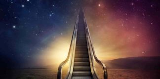 Le Créateur – Vous avez attendu….