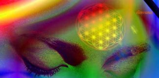 Guidances aux Maîtres en Conscience