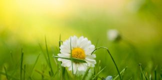 De l’importance à l’apesanteur