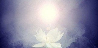 Le Créateur – Plus …