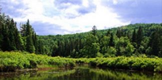 Le Créateur – Votre Responsabilité