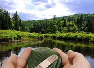 Le Créateur – Votre Responsabilité