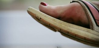 Message aux Travailleurs de Lumière – 27 septembre 2019