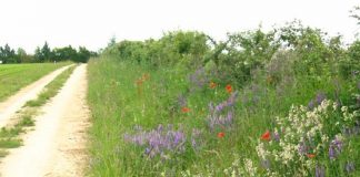 La voie est libre ! C’est quand vous voulez …