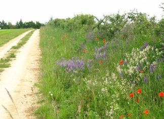 La voie est libre ! C’est quand vous voulez …